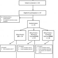 Participant Flow Chart Prise Protein And Resistance