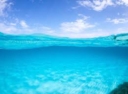We did not find results for: Hd Wallpaper Half Underwater Half Above Hd Wallpaper Blue Water Travel Wallpaper Flare