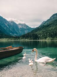Summer or winter holiday, hiking, skiing, biking in st. 7 Tipps Furs Grossarltal Und Die Umgebung Im Salzburger Land