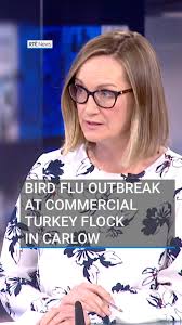 People in Rathfarnham in Dublin have been reacting to Jim Gavin's decision  to withdraw from the Presidential Election race. #presidentialelection  #rtenews