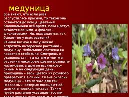 готовый проект красная книга или возьмем под защиту 2 класс Prezentaciya K Uroku Okruzhayushego Mira Na Temu Krasnaya Kniga