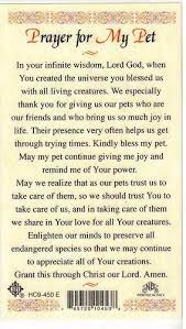Help us, o god, to remember the good times with (pet's name). Pin On Prayers Praise Love