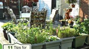 Read customer reviews & find best sellers. Vegetable Garden On A Deck Tips For Growing Vegetables On A Patio