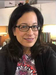 general counsel, business, trademark & ip law, real estate law, yacht  brokerage, maritime law, complex litigation