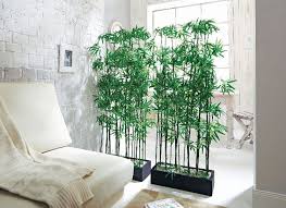 Diy Trennwand Raumtrenner Pflanzen Raumteiler Pflanzgefasse Palmen Couch Backstein Wand Raumteiler Pflanzen Raumteiler Ideen Raumteiler