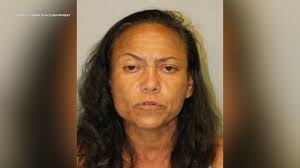 Suspect charged in Hilo theft spree