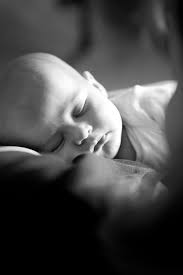 Category » baby pictures « @ Haley Lovett Photography