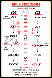 Efa Charts Life Saving Fats Team