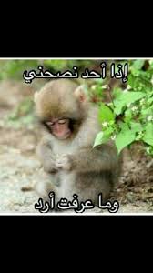 صور مضحكة