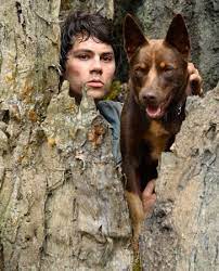 Love and monsters takes some very common tropes from different genres and mixes them all together in a strange, unique world. Love And Monsters Movie Review Sci Fi Family Adventure Sci Fi