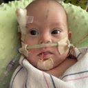 Fundraiser by alma rodriguez : Help Kingston's Heart Surgery Journey