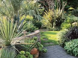 Succulents And Spiky Foliage Dominate Garden Tropical Garden New Zealand Flax Hardscape