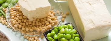 Although estrogen is a hormone commonly associated with women, men have it too. Foods That Boost Estrogen Testosterone Living Well Mdvip