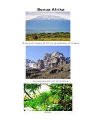 Kondisi alam negara amerika serikat. Flora Fauna Benua Amerika Afrika Australia Pdf