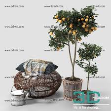 54 Orange Trees 3dsmax File Free Download Trees To Plant Orange Tree Plants