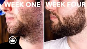 Promotes beard and hair growth and stimulation 2. How To Grow Your First Beard Week Four Finale Youtube