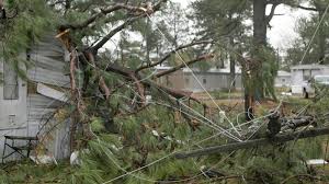 Maybe you would like to learn more about one of these? Image A Tree Limb Is Tangled In A Power Line At The Pine Mobile Home Park In Starksville Miss The Horizons Tracker