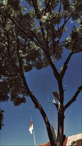  Pin Oleh Ana Bustamante Di Photography Gambar Latar Belakang Fotografi Fotografi Jalanan