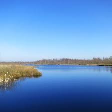 Guests can also relax in the garden or in the shared lounge area. Maas Holland Land Of Water