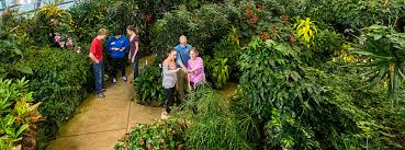 Shrubs add a structure to the landscape while nourishing butterflies, so include some viburnum, sweetspire, and elderberry. Dancing Wings Butterfly Garden The Strong
