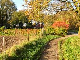Door De Geschiedenis Rond Noordlaren 7 5km Wandelroutes Wandelen Wandelpaden