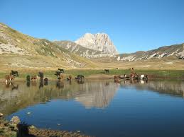 Gran sasso science institute ⭐ , italy, abruzzo, l'aquila, l'aquila, piazza battaglione alpini l' aquila: Ricca D Acqua E Rubinetti A Secco Difficile Coesistenza Tra L Aquila E La Fisica Nucleare