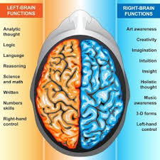 Your Brain Has Two Sides Or Hemispheres The Left Hemisphere Controls Muscles On The Right Side Of Your Body Right Brain Left Brain Right Brain Brain Function