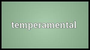 Temperamental Meaning Youtube We are providing temper meaning in hindi & english. temperamental meaning