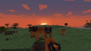 The perfect end to thanksgiving. Libreddit Search Results Flair Name Derec S Minecraft Earth Mod