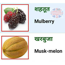 Pin By Riya On English Speaking In 2020 Good Vocabulary Words English Words Learn English Vocabulary