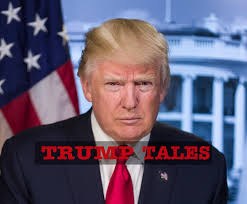 Judging the Judges. An investigation into judicial…