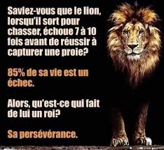 Programmez Votre Esprit A Reussir Citation Guerrier Citation Motivation Reussite Citation Objectif