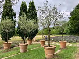 Le parc de la villa garzoni collodi (toscane) source : Parc Mosaic Jardin Italien Bis Plus Au Nord