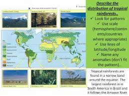 This map shows the locations of the world's major tropical rainforests. Starter Activity Data Response Ppt Download