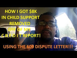 If you've ever looked up information about credit report dispute letters, you've likely seen mention of a 609 letter. Can I Remove Back Child Support From My Credit Report I Got 8 000 Removed With The 609 Letter Pdf Youtube