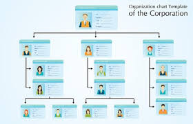 Organizational Chart Template Of The Stock Vectors And