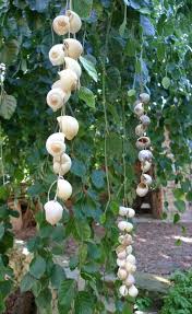 Dekoration Fur Den Garten Romantische Ketten Aus Schneckenhausern Diy Naturgarten Gartendekoration