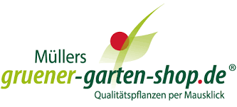 Grüner garten shop erdbeere sorte senga. á… Ihr Onlineshop Fur Pflanzen Gruner Garten Shop