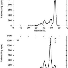 We did not find results for: Scheme For The Deposition Of Chitin In The Yeast Cell Wall During The Download Scientific Diagram