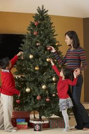 Wir erklären es im video. Der Tannenbaum Die Schonheit Des Baumes Hat Ihren Preis Pflanzenforschung De