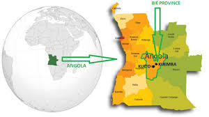 Image result for Landolphia eminiana