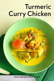 Turmeric Chicken Curry Southeast Asian Recipes Recipe In 2020 Recipes Asian Recipes Healthy Asian Snack
