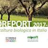 Immagine storia relativa a biofach 2018 site:newsfood.com tratta da NEWSFOOD.com