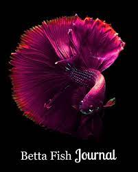 What are some good names. Betta Fish Journal Purple Betta Swimming On Black Background Watts Sara A 9781792785849 Amazon Com Books