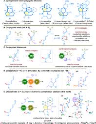 Image result for Schizozygia