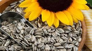 Download mp3 bunga mata lirik gratis, ada 20 daftar lagu bunga mata lirik yang bisa anda download. Kwaci Tak Hanya Enak Buat Camilan Ternyata Biji Bunga Matahari Ini Punya Manfaat Untuk Kesehatan Tribun Manado