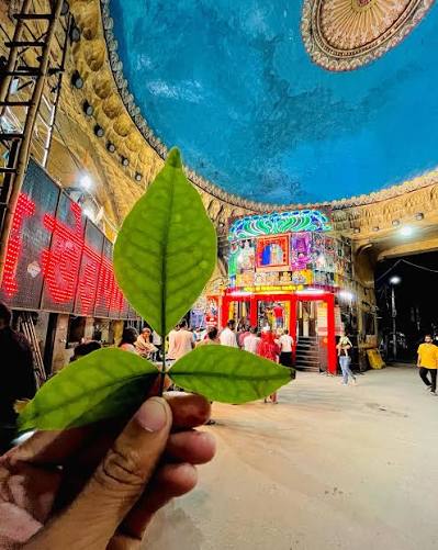 त्रिपोलेश्वर महादेव मंदिर अलवर 🍀🛕🥰 फॉलो जरूर करे:- @mahadev_bhakt_deewana . . #tripoleshwar #dham #tripolia #mandir #alwar #rajasthani #alwarcity #rajasthandiaries #harharmahadevॐ #mahadev #mahakal #bholenath ...
