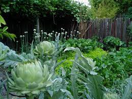 The project is an edible landscape/food forest in my front yard, ¼ acre total. 10 Ideas For A Front Yard Edible Garden Your Neighbors Will Love