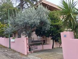 Secondo uno studio medico realizzato nelle regioni orientali della slovacchia, c'è una recrudescenza allarmante di epatite b tra gli abitanti degli insediamenti rom. Pescara Rapina Violenta In Villa Ai Colli Arrestato Uno Dei Responsabili Abr24 News