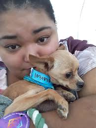 Thank you for helping find Lucky